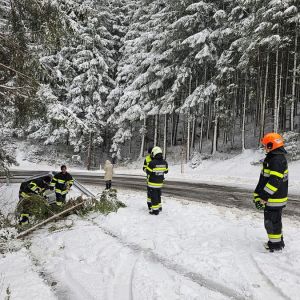 Fahrzeugbergung 02.12.2023