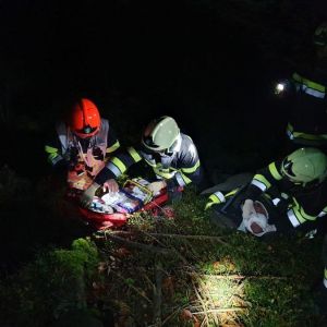 Herbstübung mit der FF. Waldbach