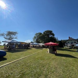 Fest_6
