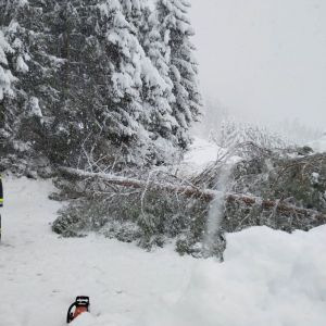 SCHNEEREICHER EINSATZTAG 22.- UND 23.12.2023