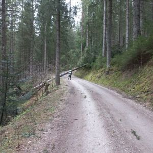 Sturm_1
