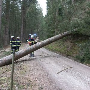 Sturm_2