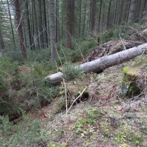 Sturm_3