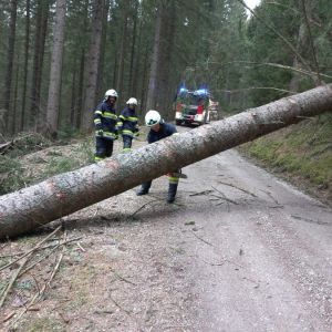 Sturm_4