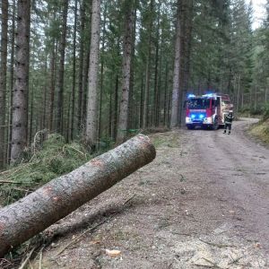 Sturmschäden 20.12.2024